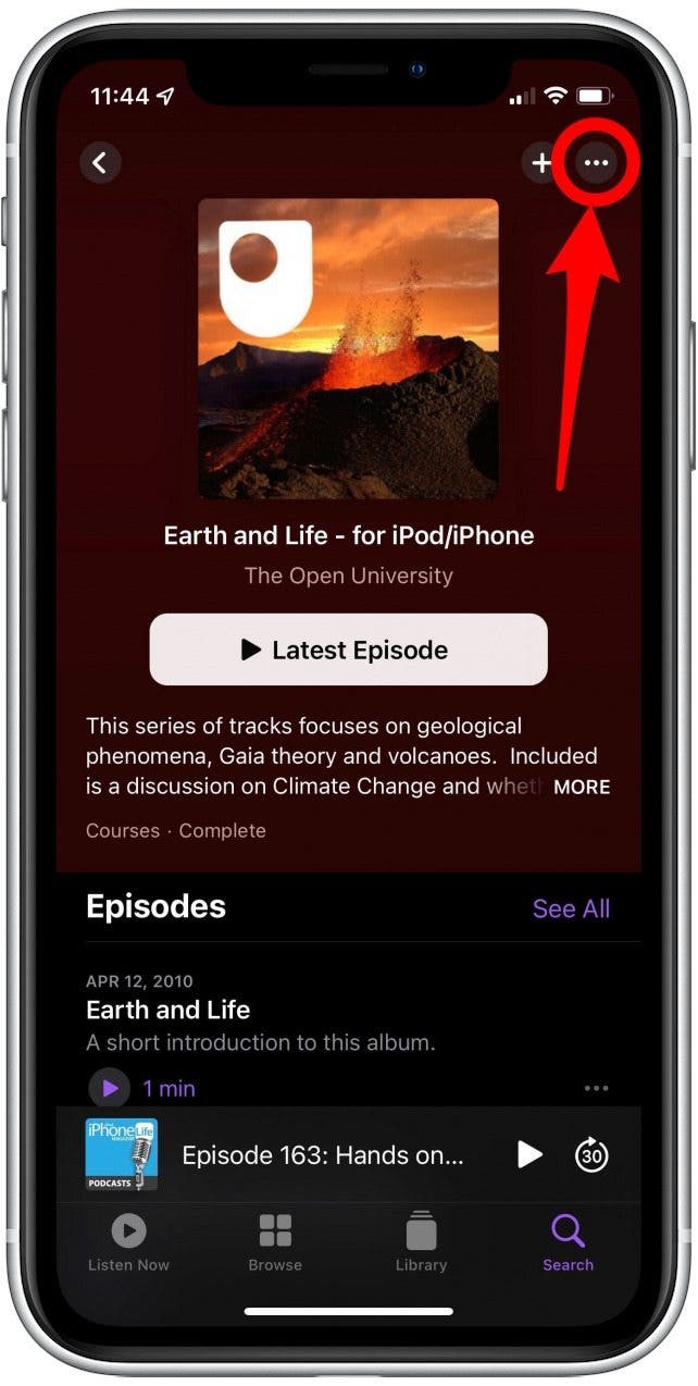 Apple paid podcast subscriptions