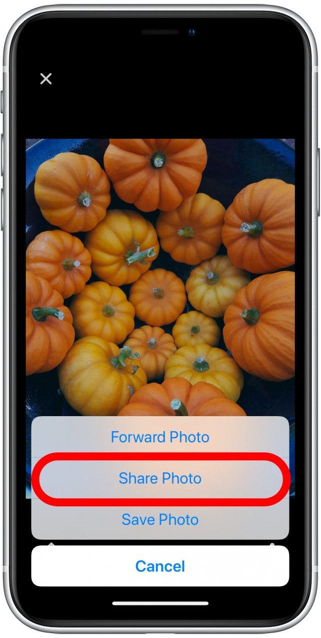 how to save video from facebook to iphone