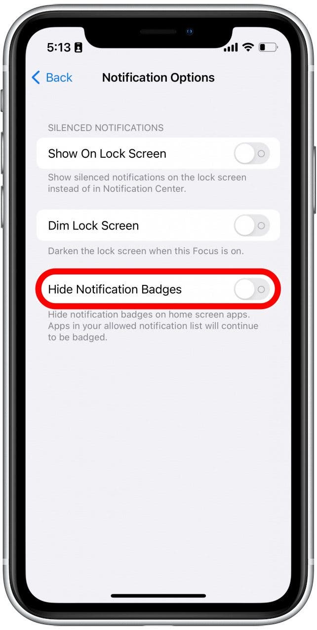 Tap the toggle next to Hide Notification Badges to make it so there are no notification badges on apps on your Home Screen. 