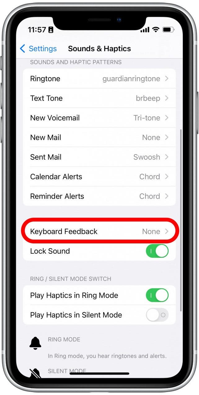 Scroll down and tap Keyboard Feedback.