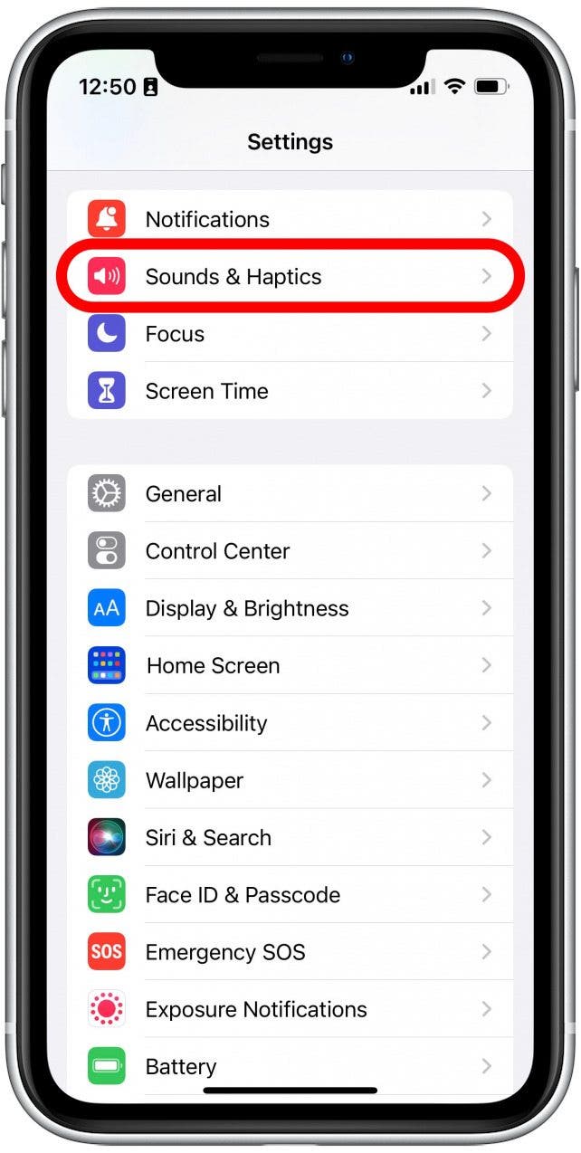 Scroll down and tap Sounds & Haptics.