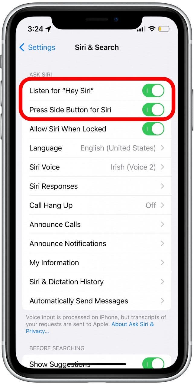 Check that the top two toggles, Listen for “Hey Siri” and Press Side Button for Siri are green and switched on.