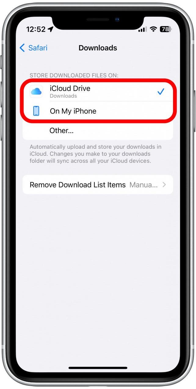 Here, you can choose to store your Downloads folder on your iPhone or in iCloud Drive.