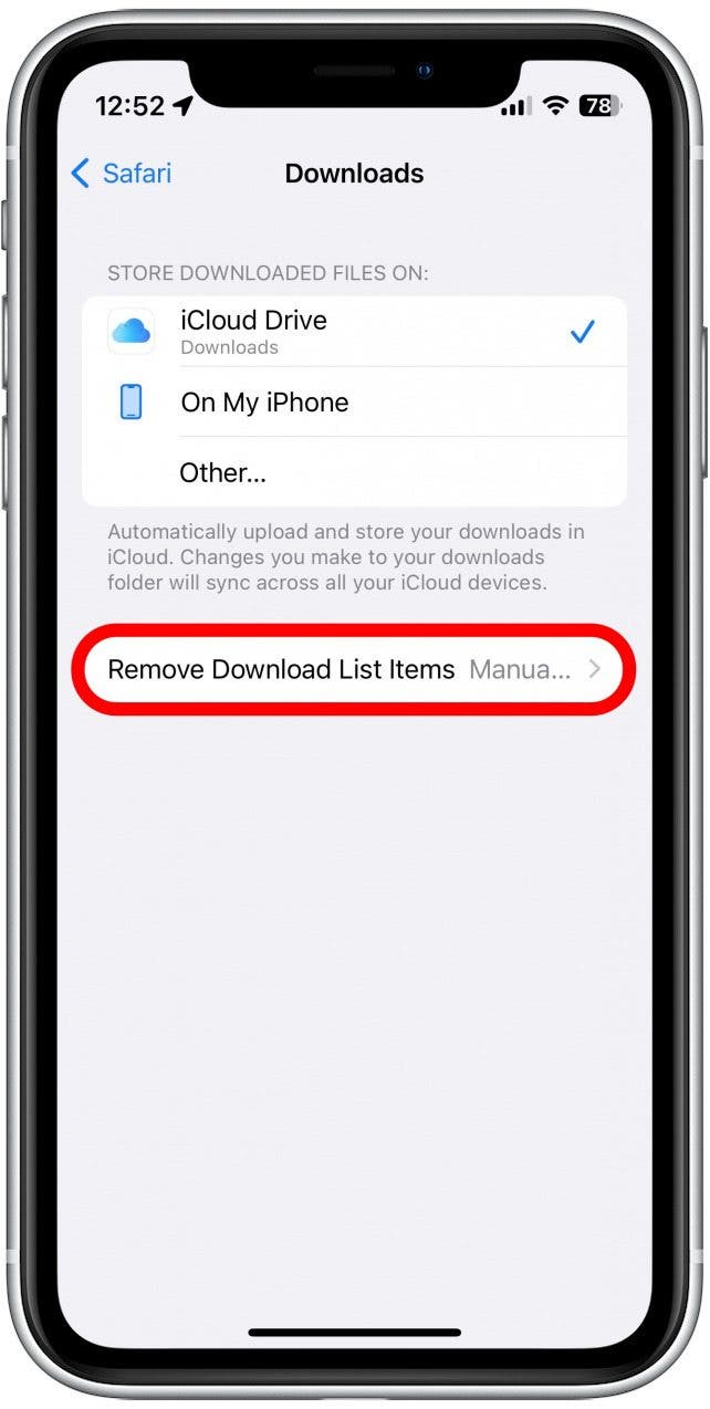 You can also tap Remove Download List Items to change how long the downloads list stays in Safari. This does not remove the downloaded files from your iPhone, it will only remove them from the list.