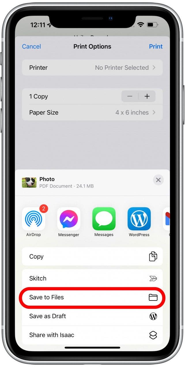 Tap Save to Files to save it to your iPhone or iPad as a PDF document.