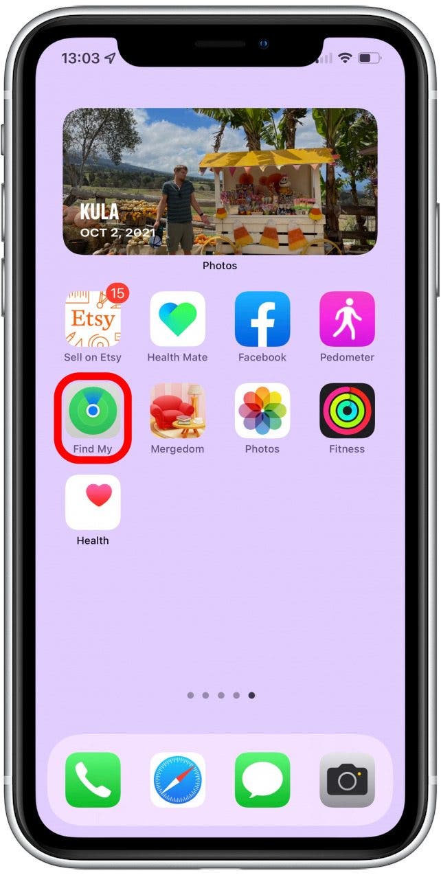 Open Find My on your iPhone.