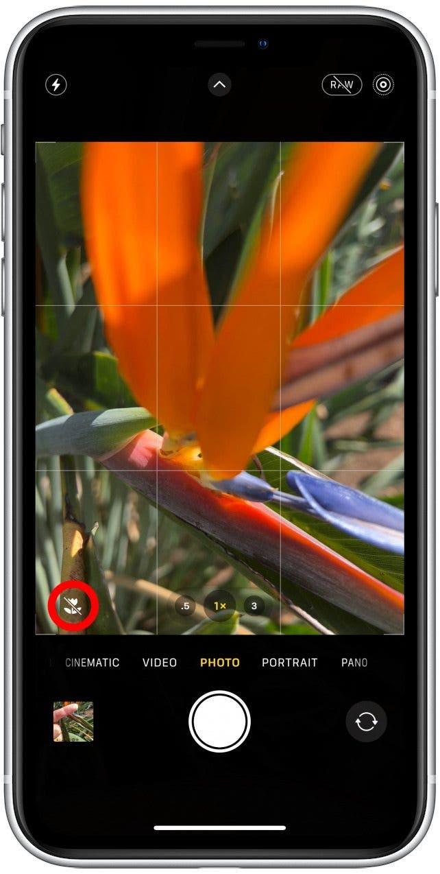 If you enter Macro mode accidentally, you can tap the Macro icon to turn it off.