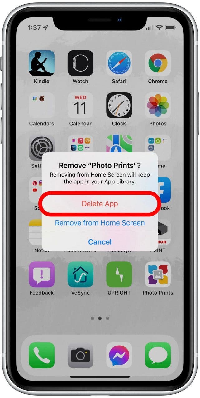 Remove Fake App iPhone 3