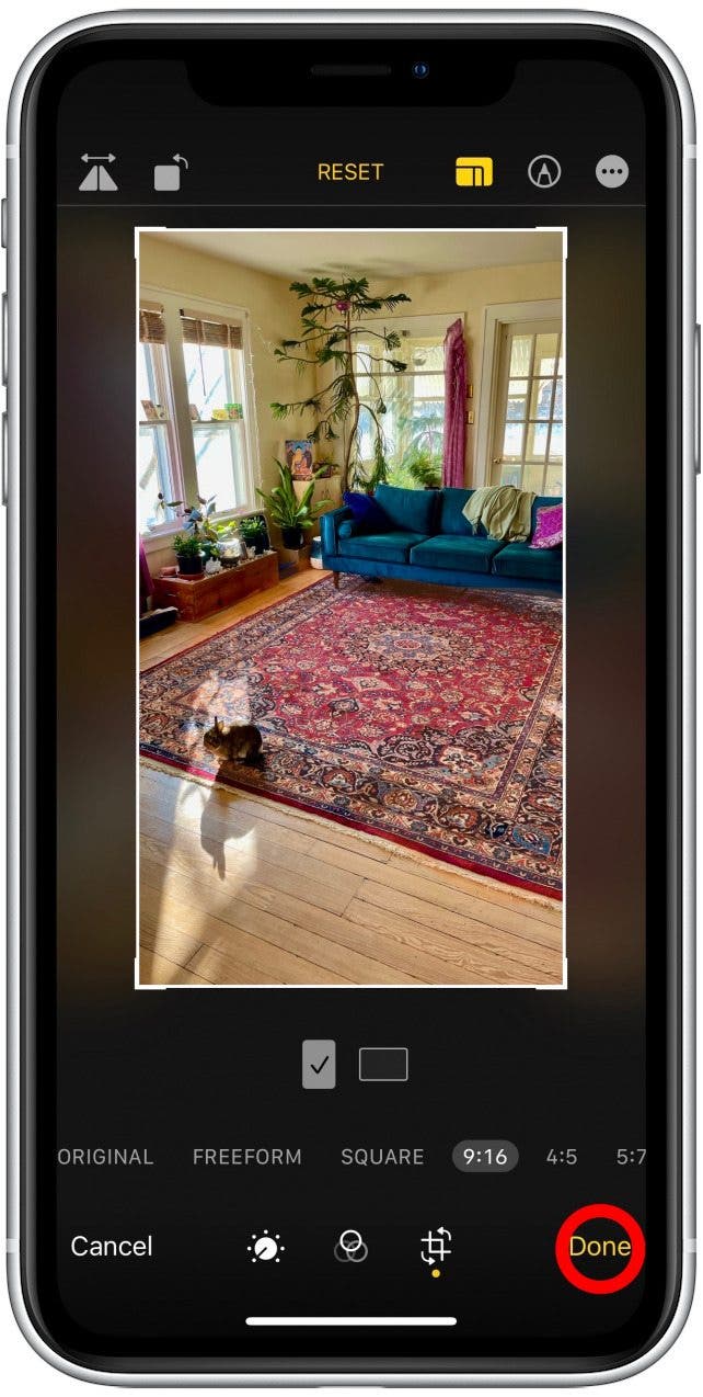 When you’re happy with your crop, tap Done. That's how to crop photos on iPhone. 