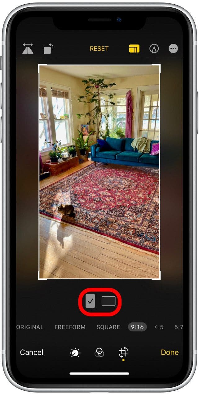 Tap to choose whether you want to crop vertically or horizontally. This is how to crop a picture on iPhone. 