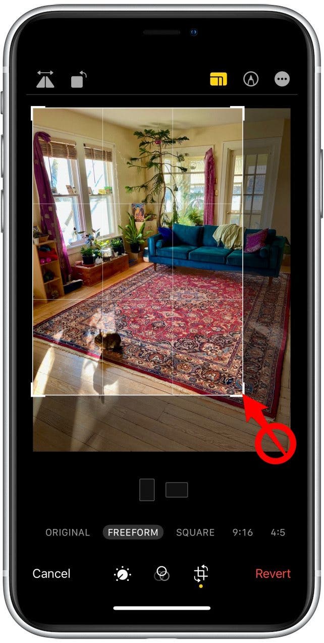 Tap on any of the white corners of the image and drag them to where you want the edges of the image to be.