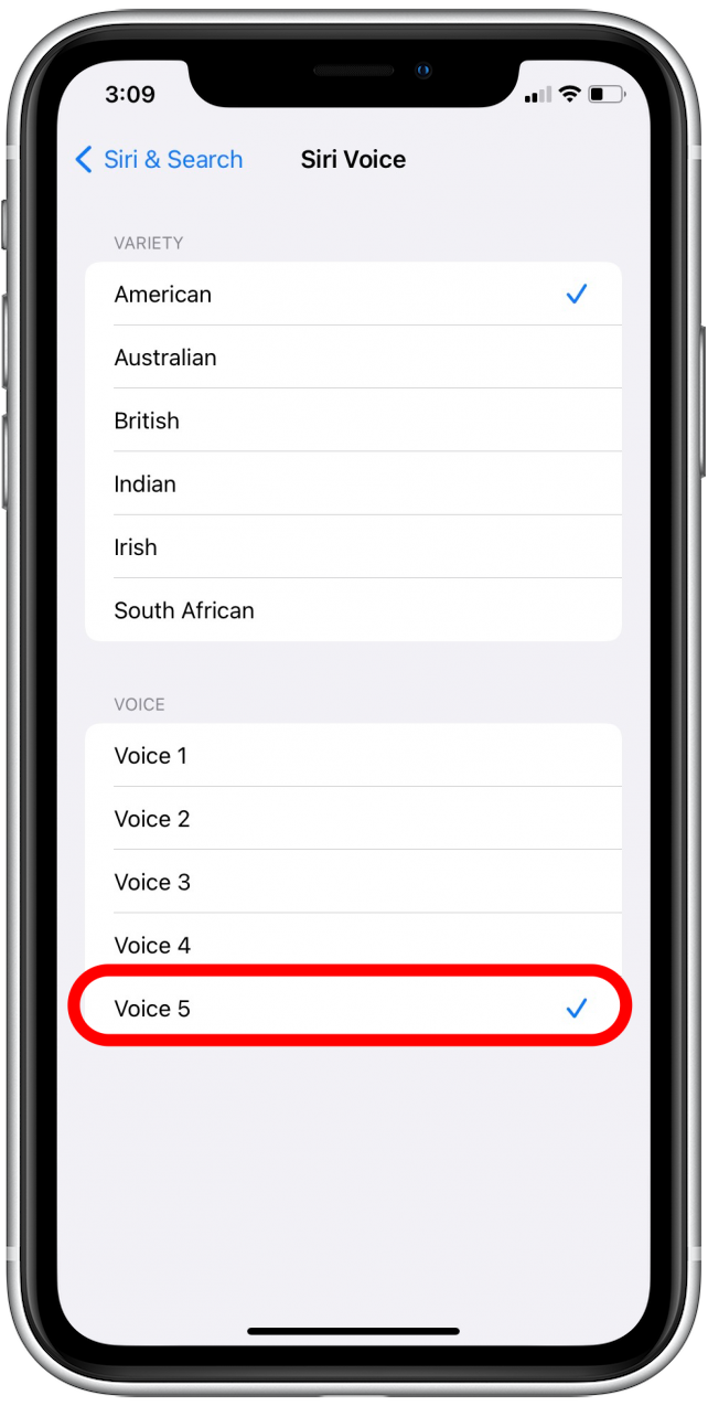 Siri Voice 5
