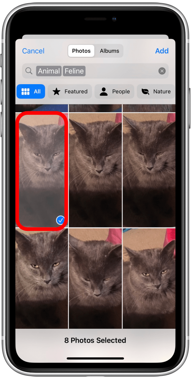 How to Shuffle Lock Screen Pictures on iPhone (iOS 16)