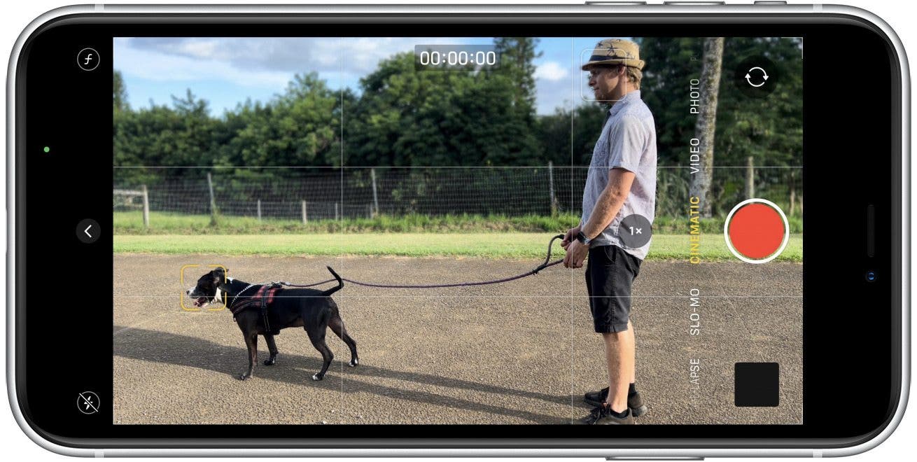 If you don't tap on anything on the display, your camera will focus on whatever is the obvious subject or is located in the center.