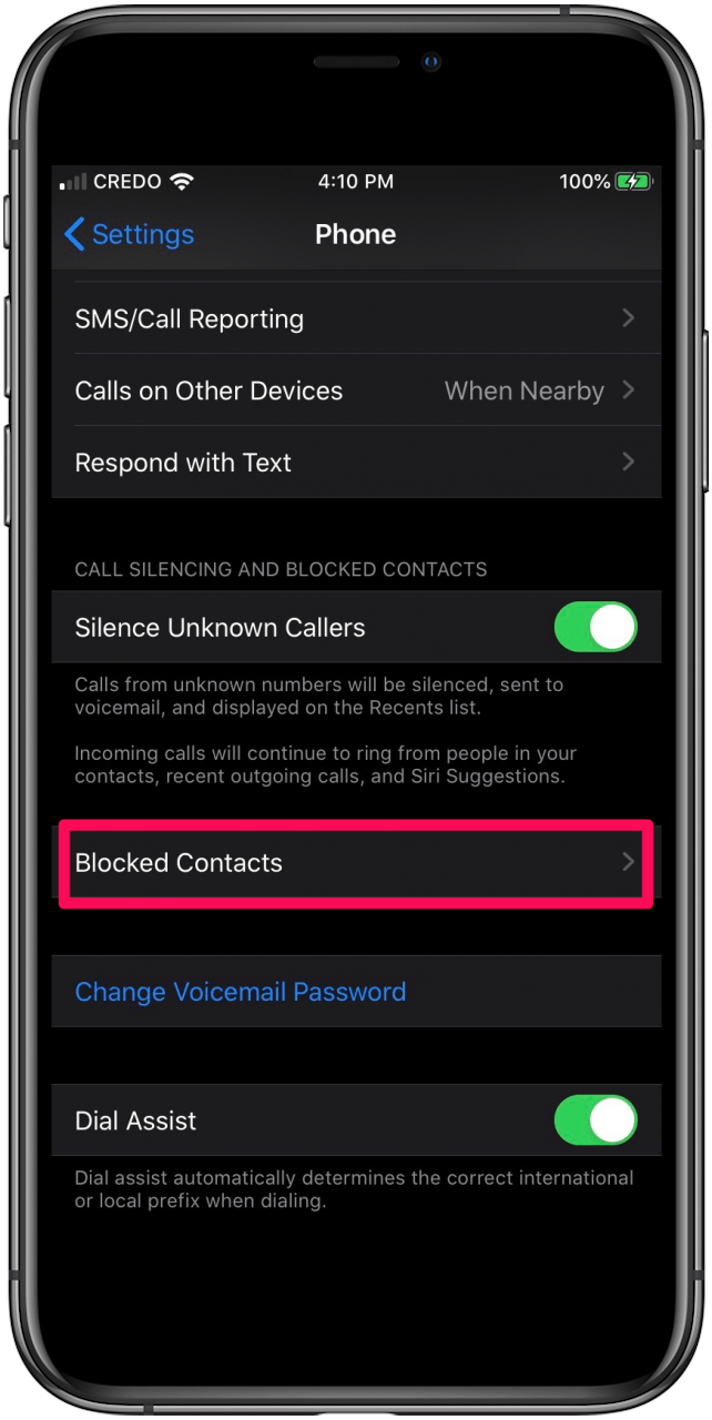 how to get iphone calls on mac ios 100
