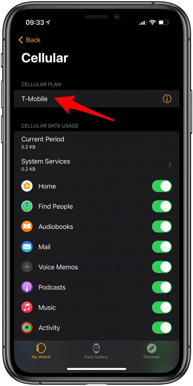 How to Make, Accept & Mute Calls on Apple Watch