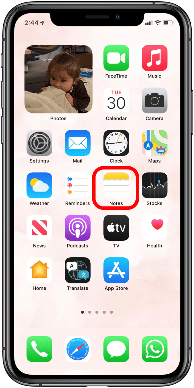 iphone missing from appicon