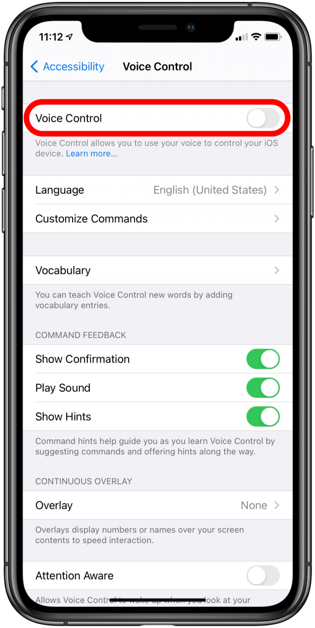 How to Deactivate Voice on Your iPhone