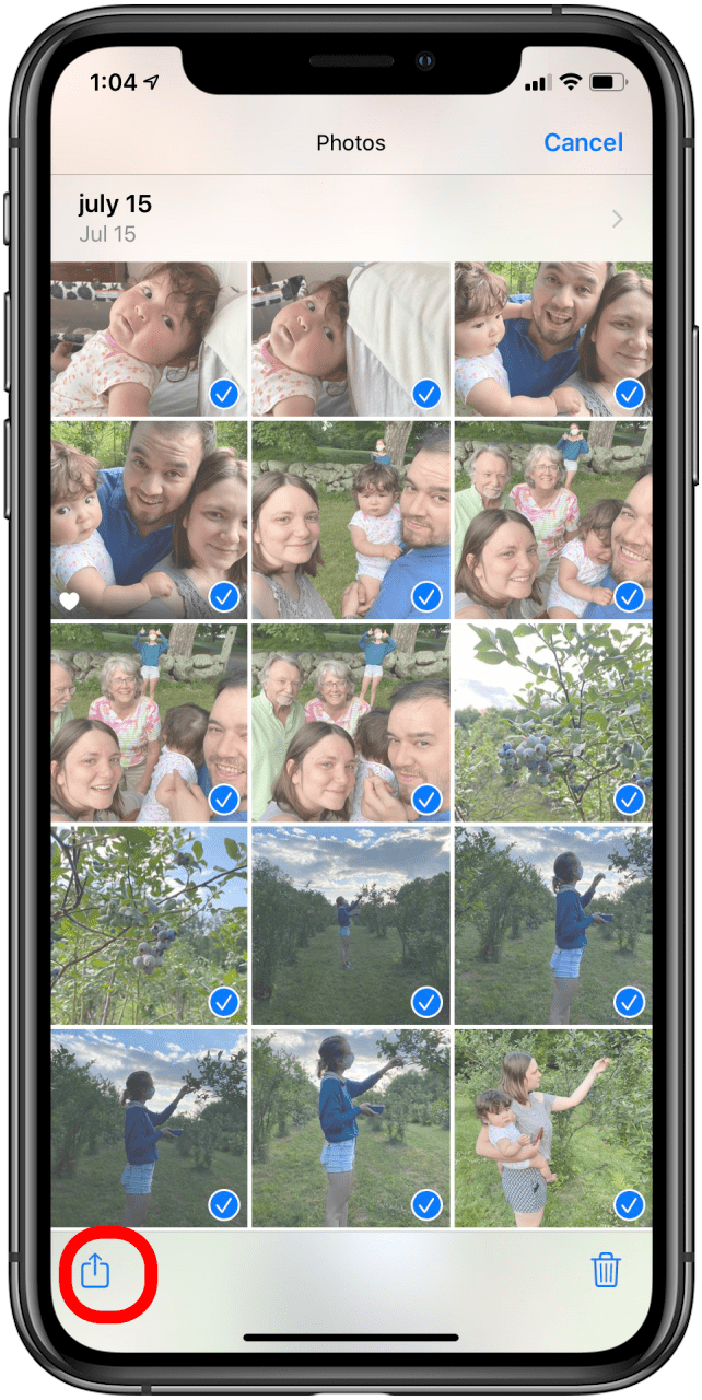 How to organize photos on iPhone