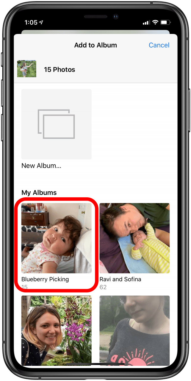 Create an iOS photo album