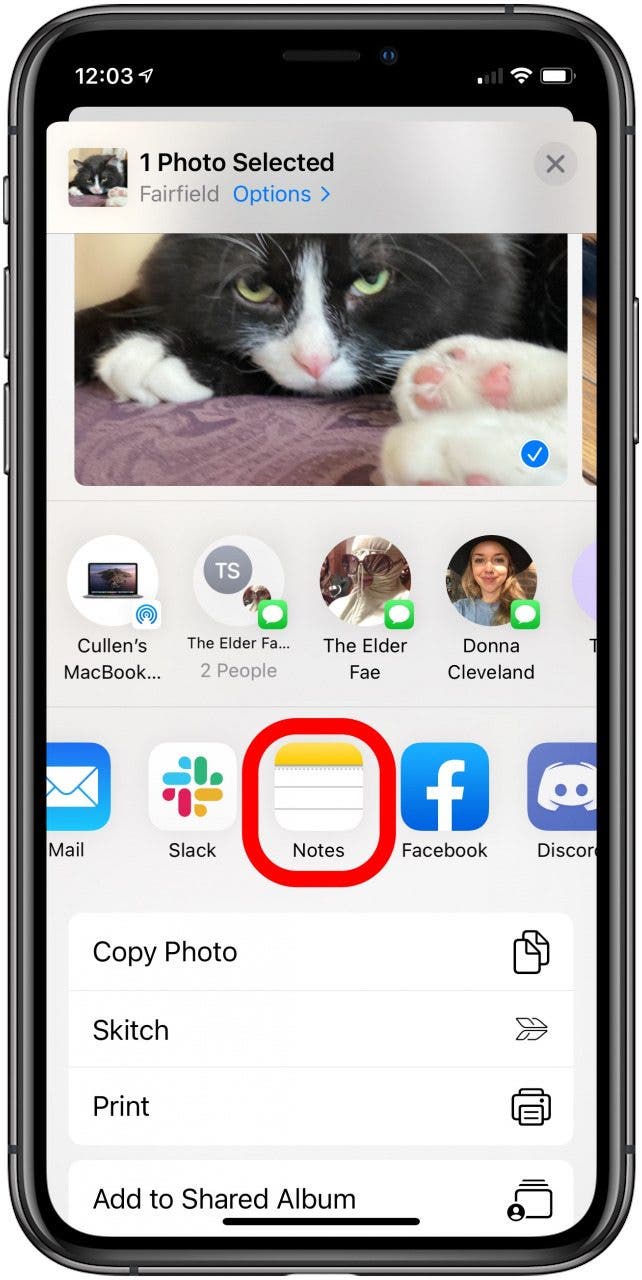 hide photos iphone: the photo share menu with the Notes app highlighted