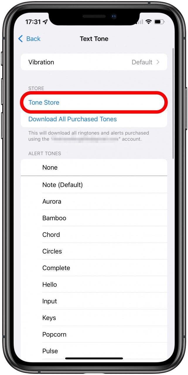 iPhone ringtone Maker - Online Custom Ringtones - VEED.io