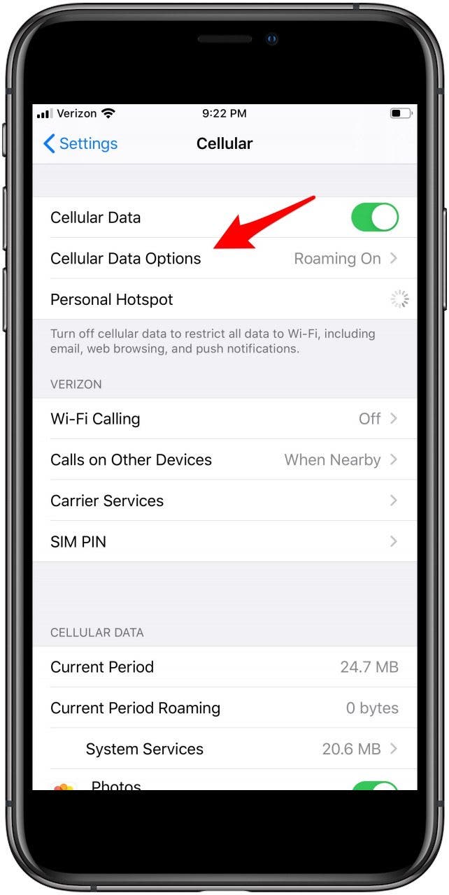 choose cellular data options