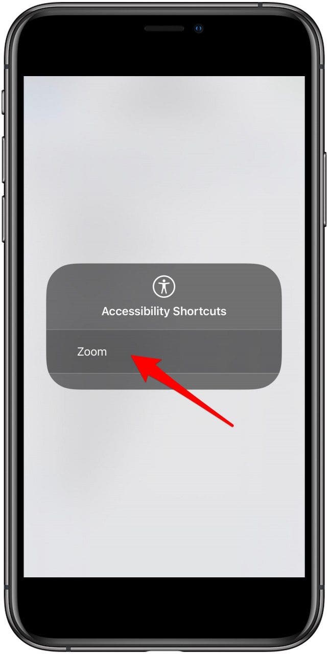 tap name of accessibility shortcut to use