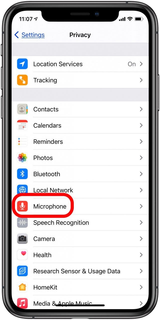 ipad and iphone microphone settings