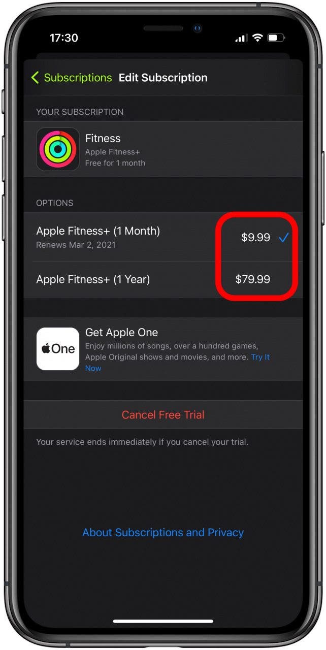 Apple Fitness+ subscriber cost