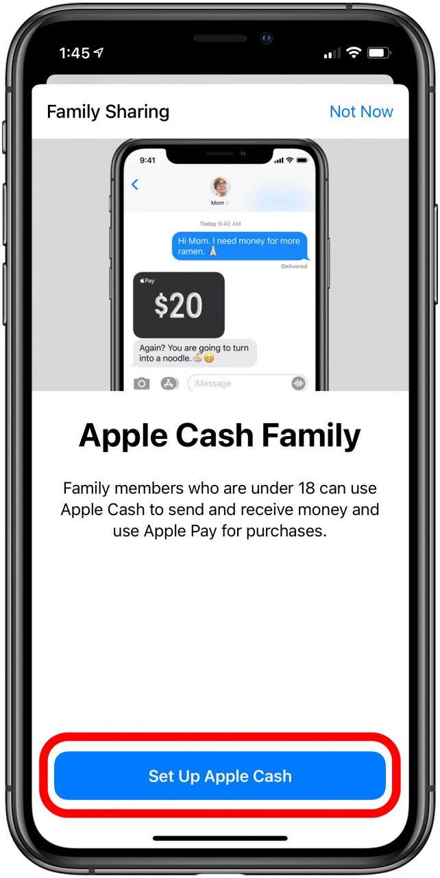 set up apple cash