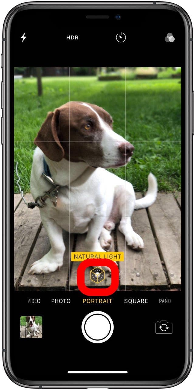 The iPhone Camera App: The Ultimate Guide to Taking Photos & Videos