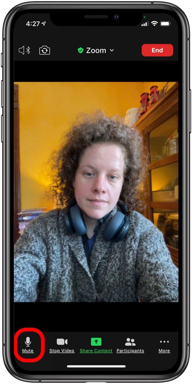 zoom app mute button