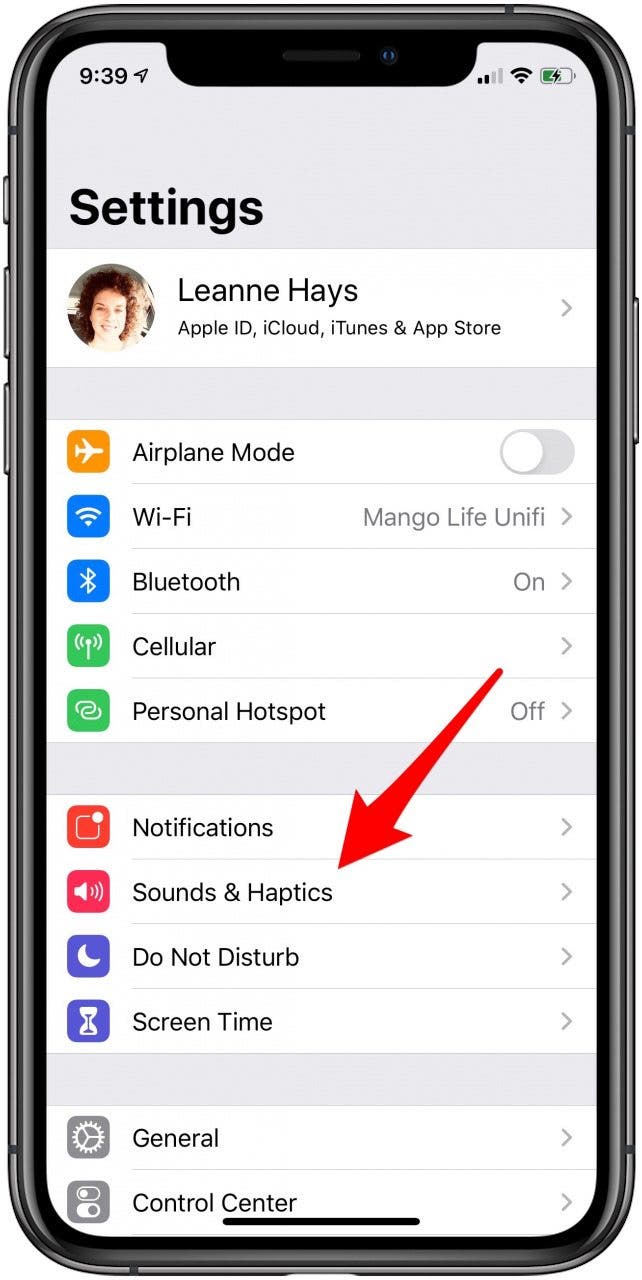 sounds and haptics iphone settings