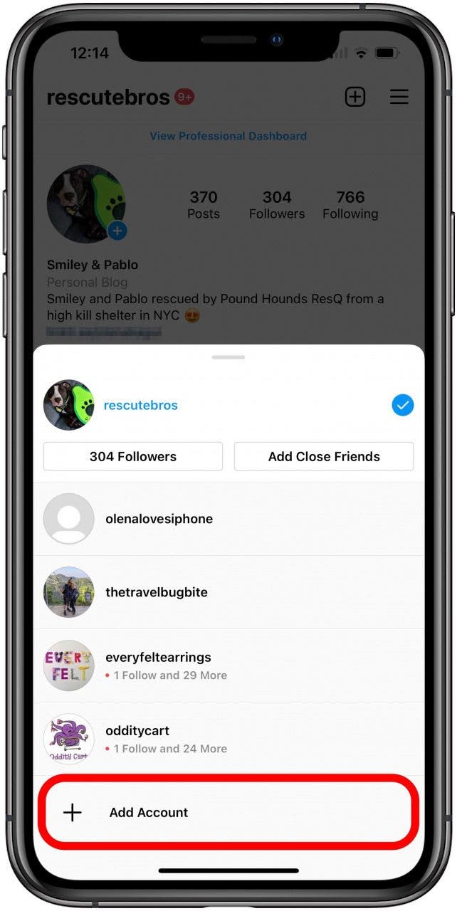 You can add a new Intagram account by tapping add account.