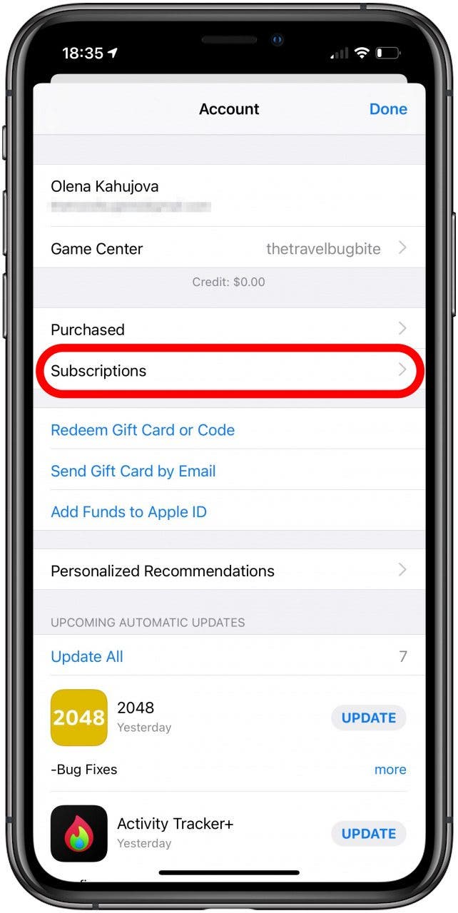 Tap subscriptions to see your Apple store subscriptions.