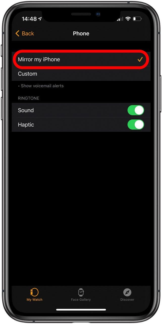 How to Make, Accept & Mute Calls on Apple Watch