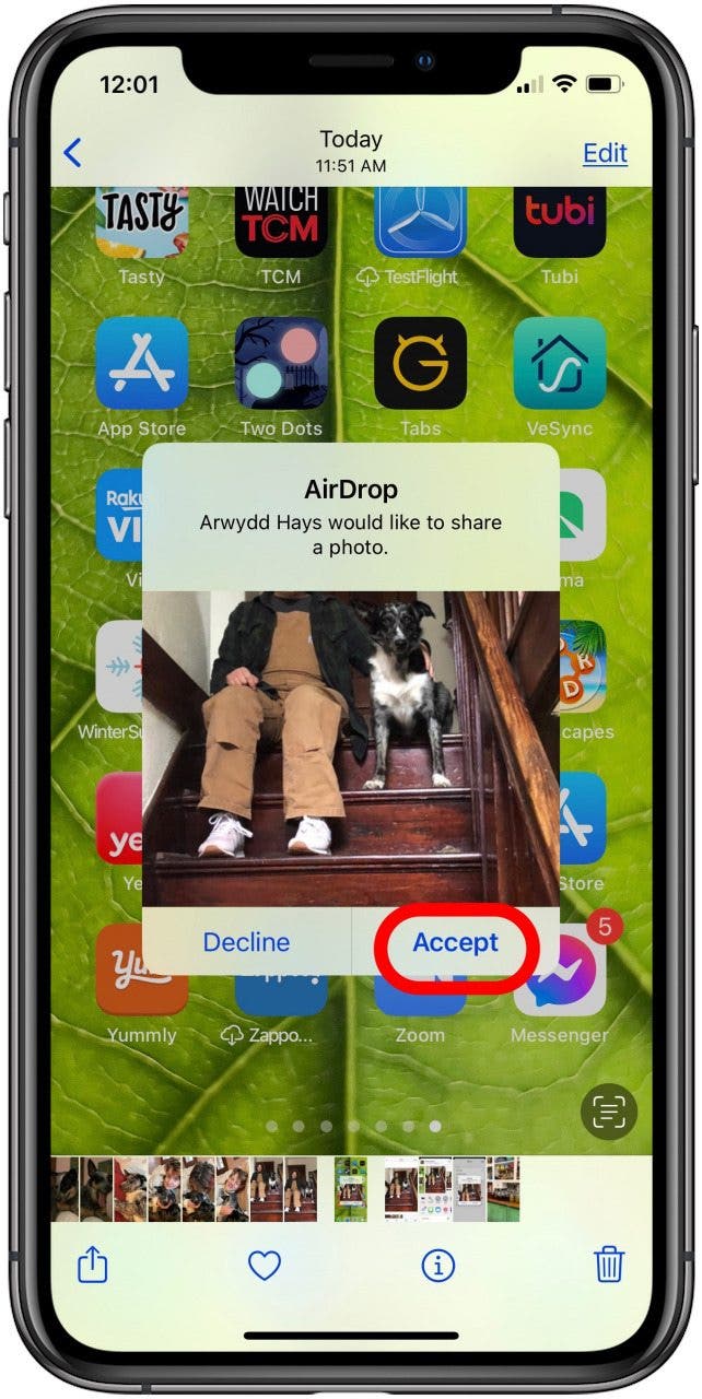 tap accept to save air drop photo