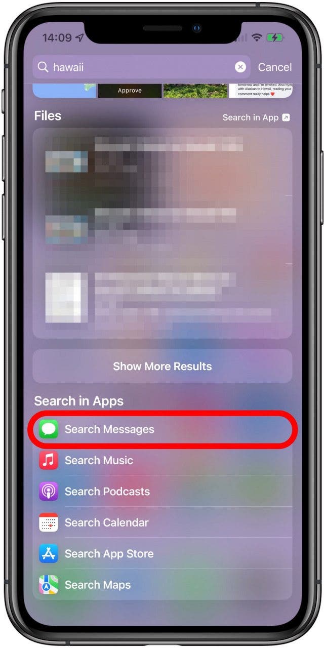 Search in Apps section - message history iphone