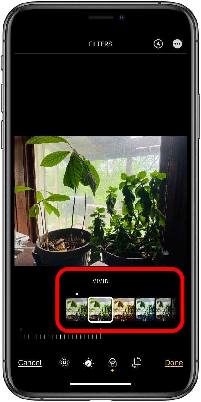 How to Add Filters to Live Photos on iPhone