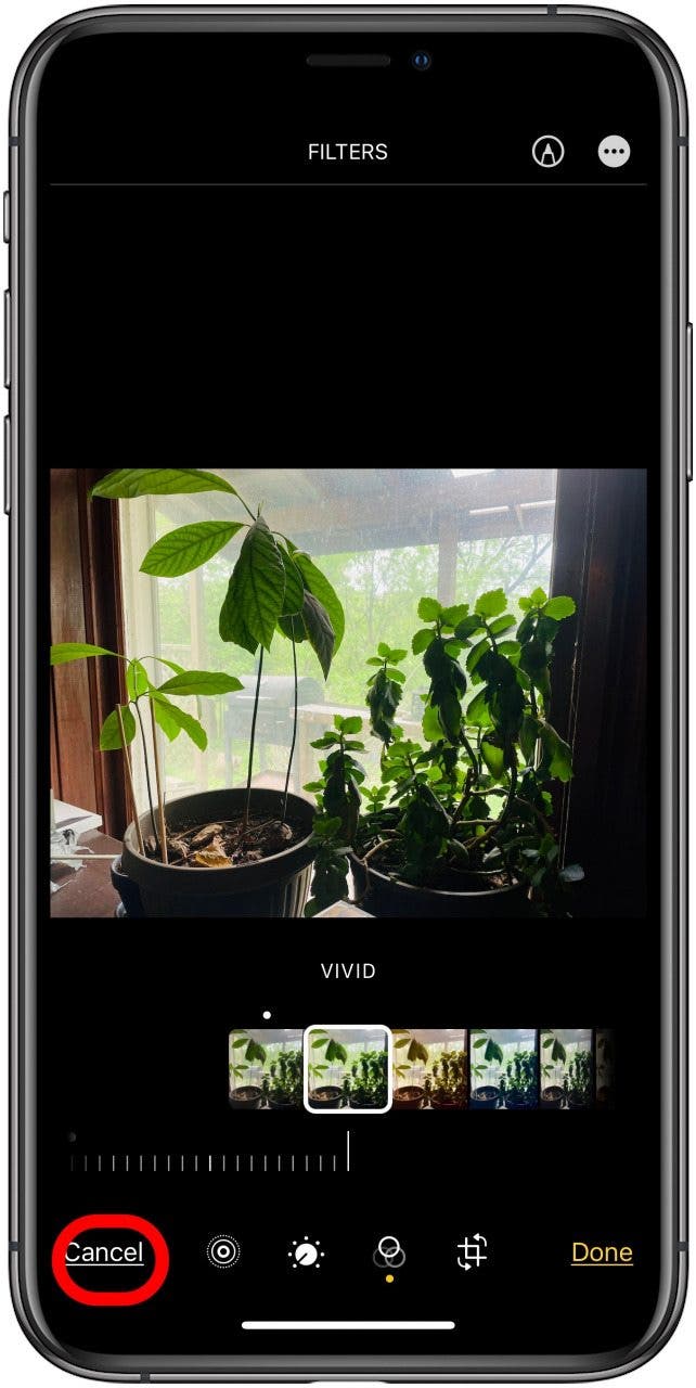 How To Add Filters To Live Photos On Iphone