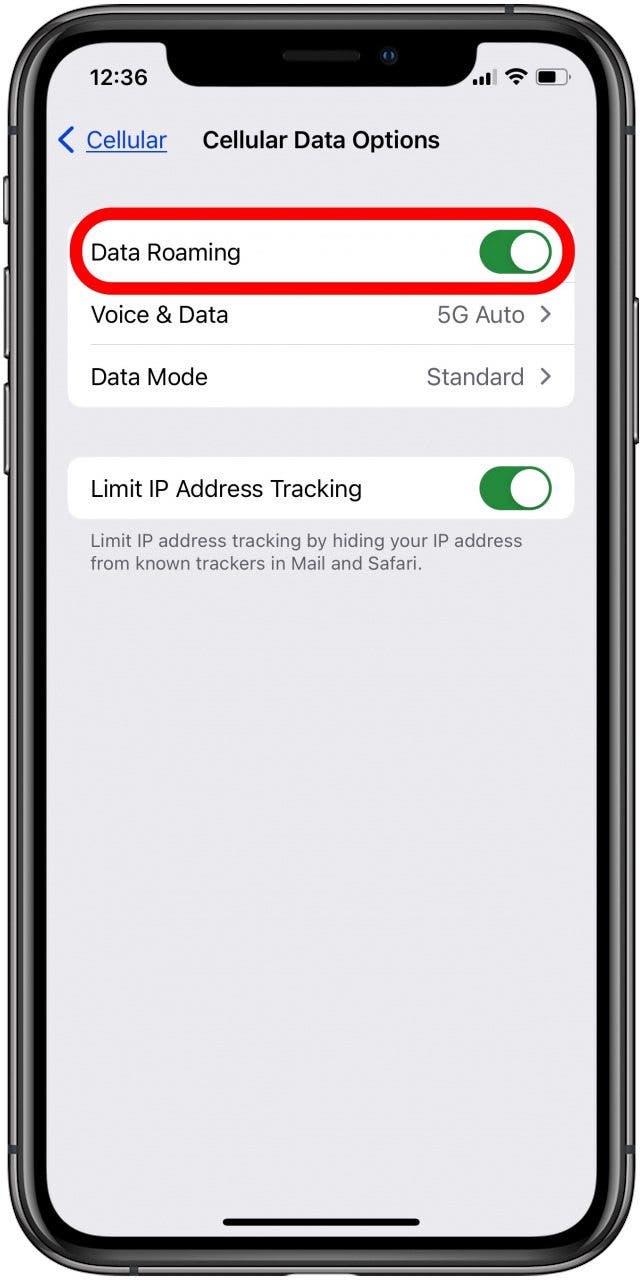 toggle on data roaming