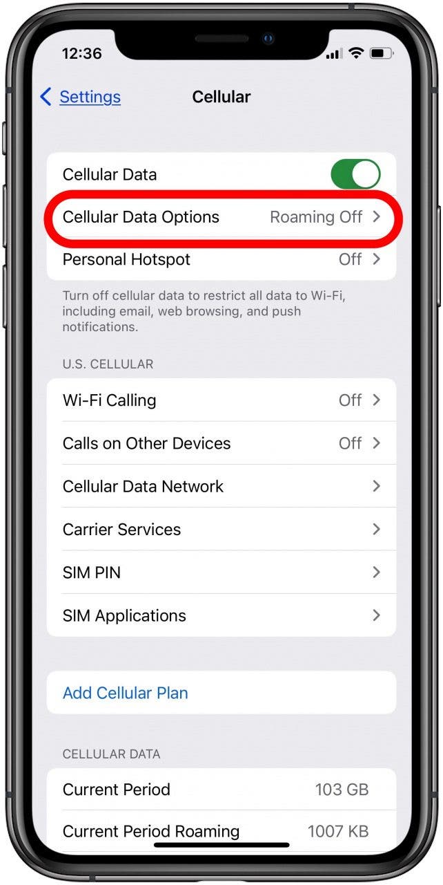 tap cellular data options