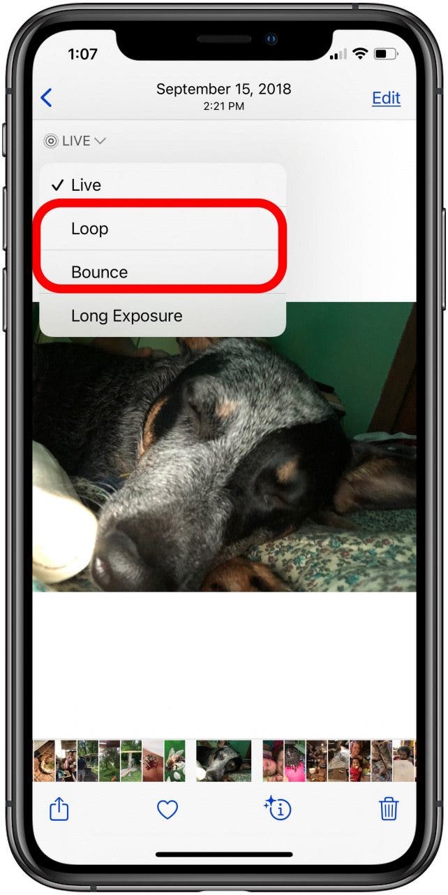 How To Make A Gif On Iphone From A Live Photo 22 Update