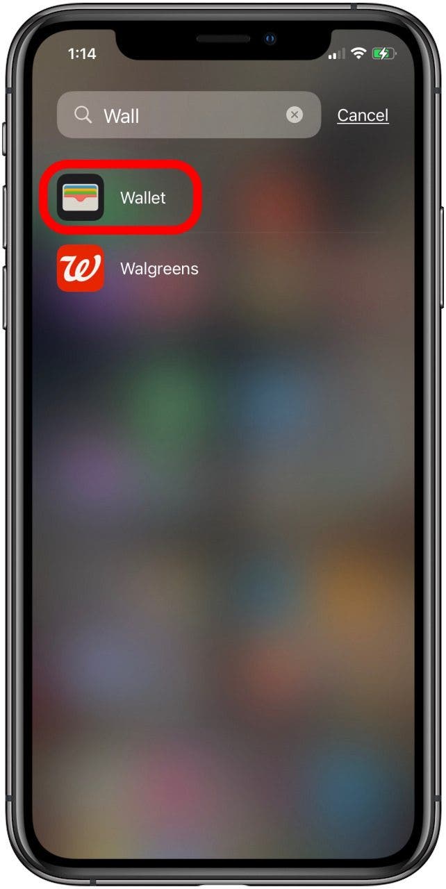 Does Walgreens Take Apple Pay? (2024)