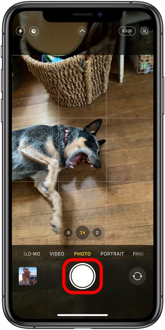 touch and hold the shutter button to take burst mode on older iphone