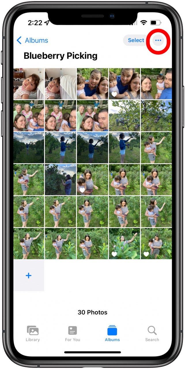 how to organize photos on iphone