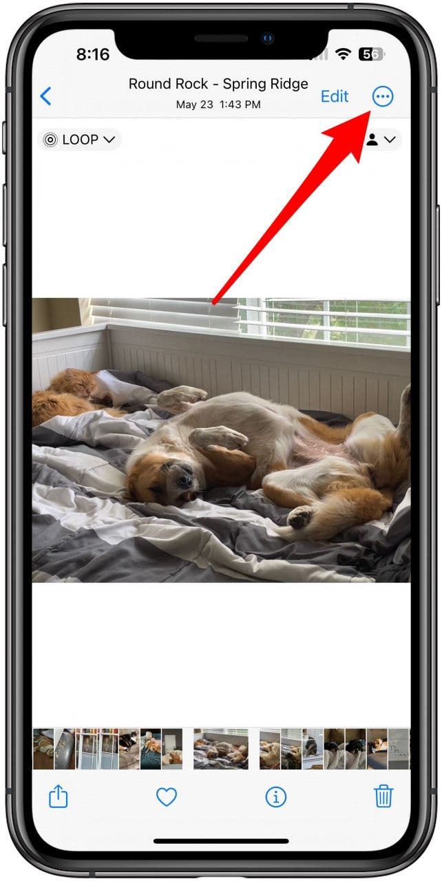 Photos app with a specific photo open and the 3-dot button marked.