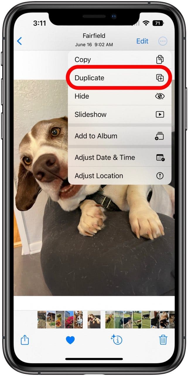 Photo open in Photos app with three-dot menu open and a marking on the Duplicate option.