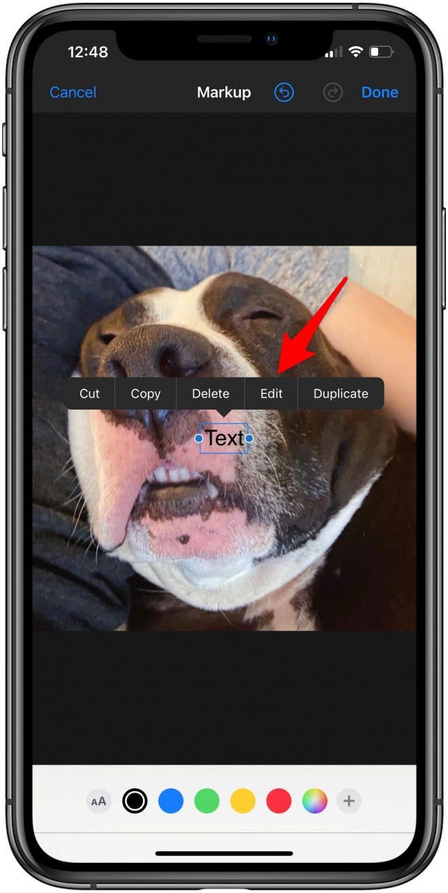 Tap Edit in the text menu bar